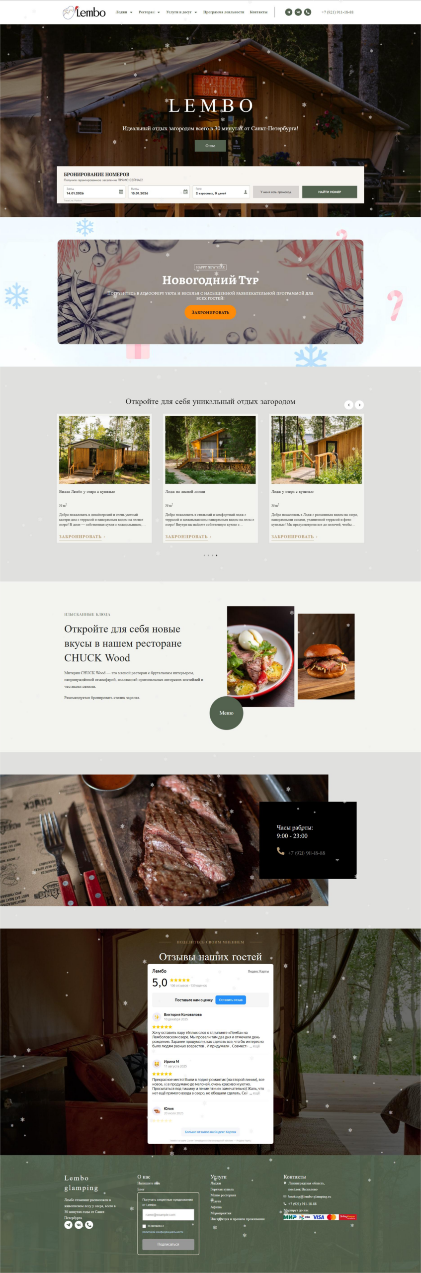 Website preview